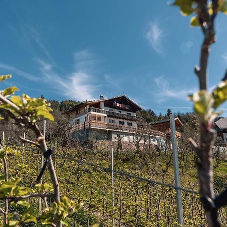 Malgorerhof Lavendel San Genesio Atesino Exterior photo